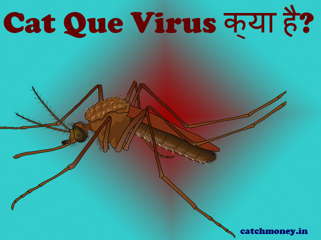 Cat Que Virus क्या है?